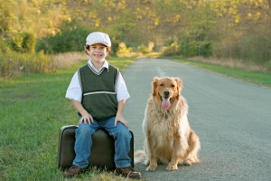 Dog and Boy Travelling